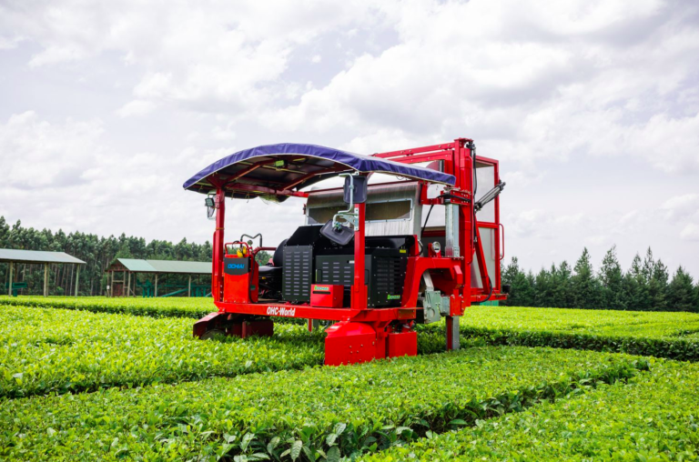 AI in Agriculture: Precision Farming and Beyond