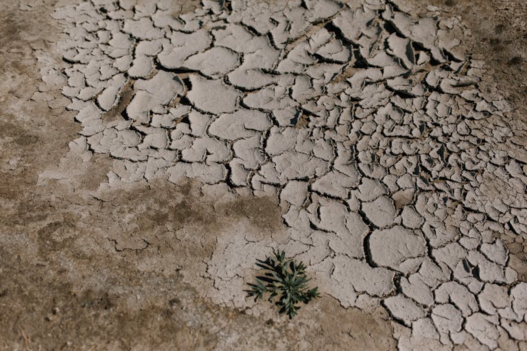 Cracked dry ground in desert area